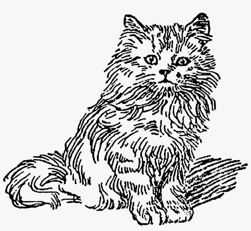 Both Of These Digital Kitten Illustrations Are So Cute - Domestic Long-haired Cat, transparent png download