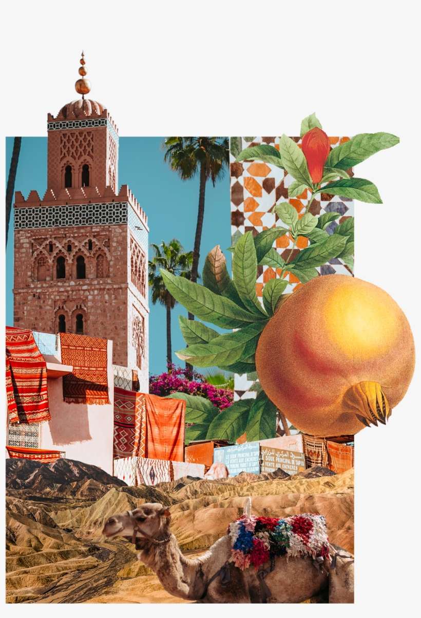 Thanksgiving, transparent png download