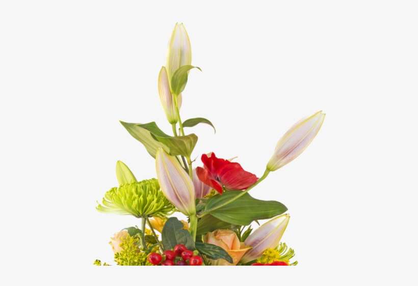 Flower Bouquet Png - Flower Bouquet Images Download, transparent png download