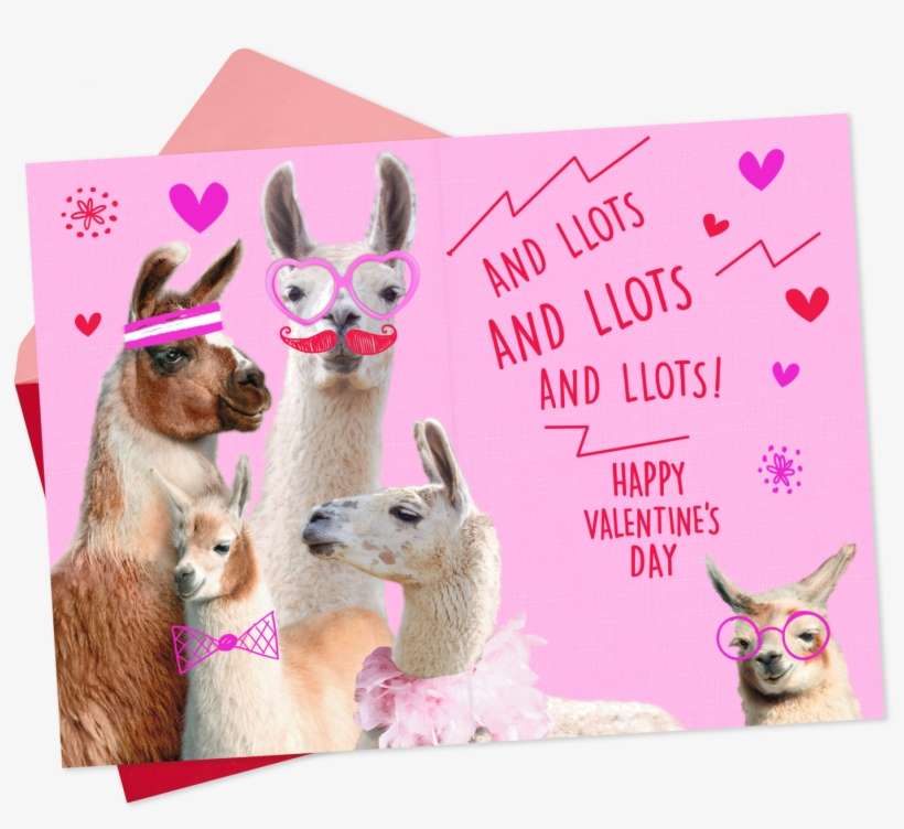 Love You Lots Llamas Valentine's Day - Llama, transparent png download