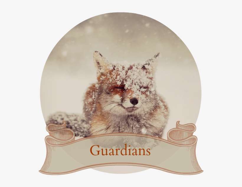 Red Fox Winter 1 - Fairytale Fox By Roeselien Raimond, transparent png download