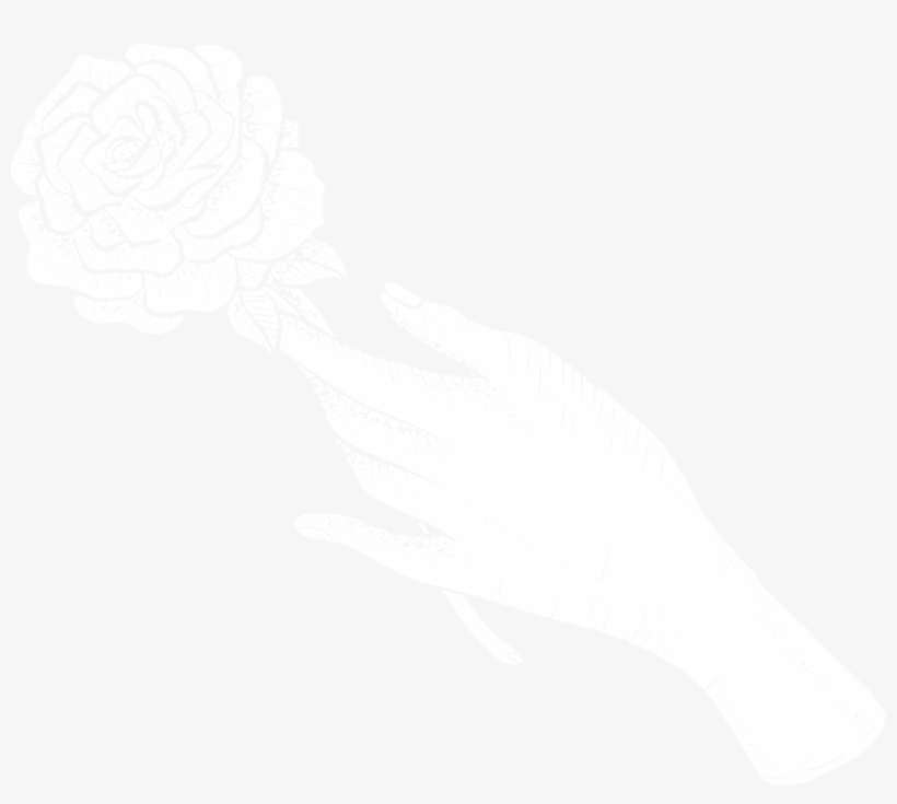 Castaway Portland Wedding With Llamas - Illustration, transparent png download