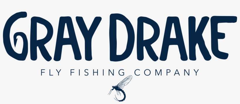 Net-winged Insects, transparent png download