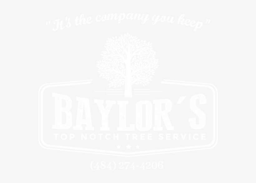 Baylor's Top Notch Tree Service Is A Locally Owned - Illustration, transparent png download
