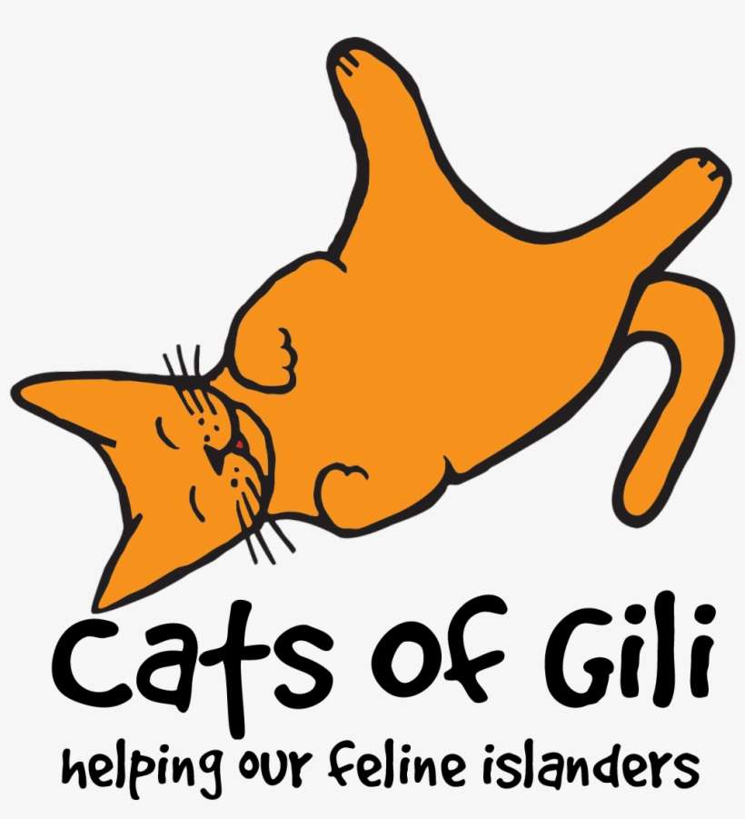 Feline Clipart Orange Cat - Cats Of Gili, transparent png download