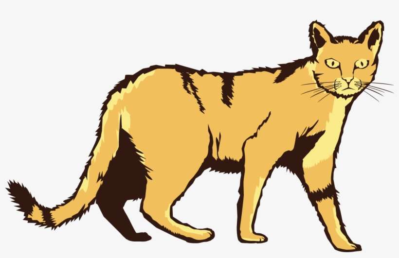 Have You Seen A Feral Cat Recently - Cartoon, transparent png download