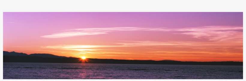 Thought Leadership Reports Thought Leadership Reports - Sunset, transparent png download