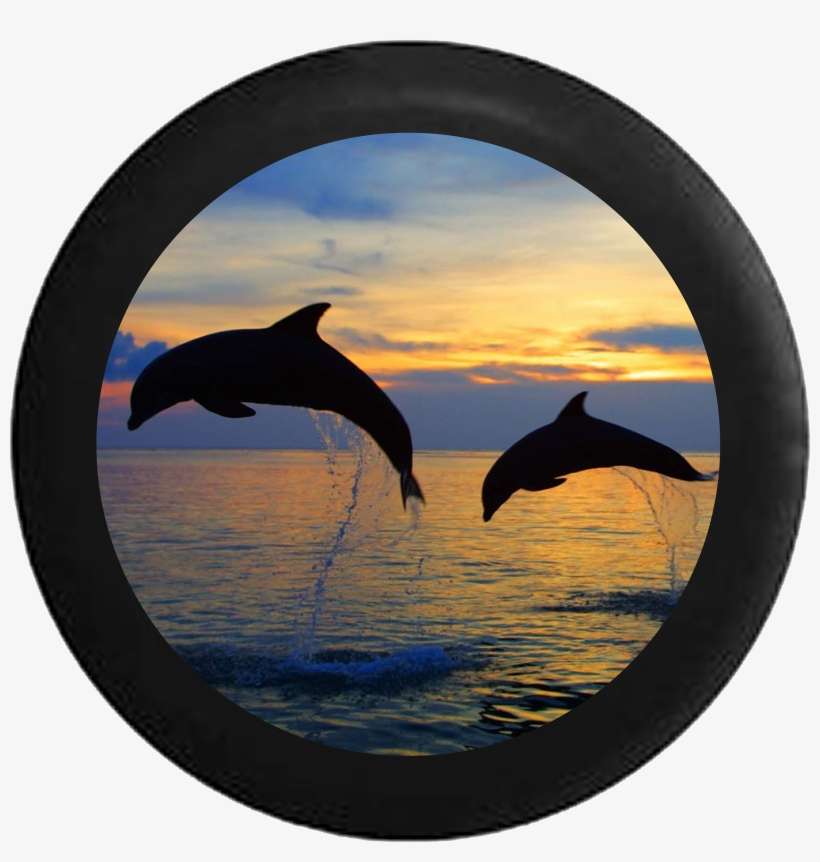 Two Dolphins Jumping Sunset Sunrise Behind Sky Rv Camper - Dolphins Jumping Out Of The Water Making, transparent png download