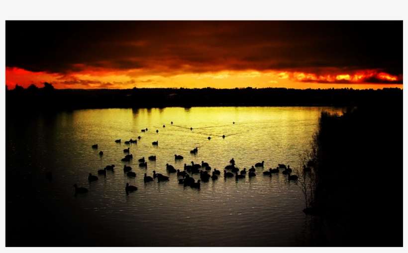 Score 50% - Nature, transparent png download