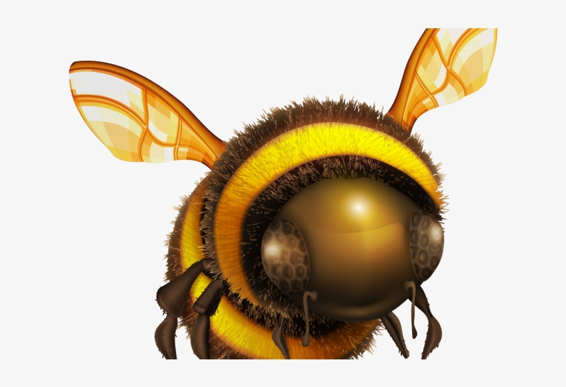 Hornet Clipart Yellow Jacket - Bee Png, transparent png download