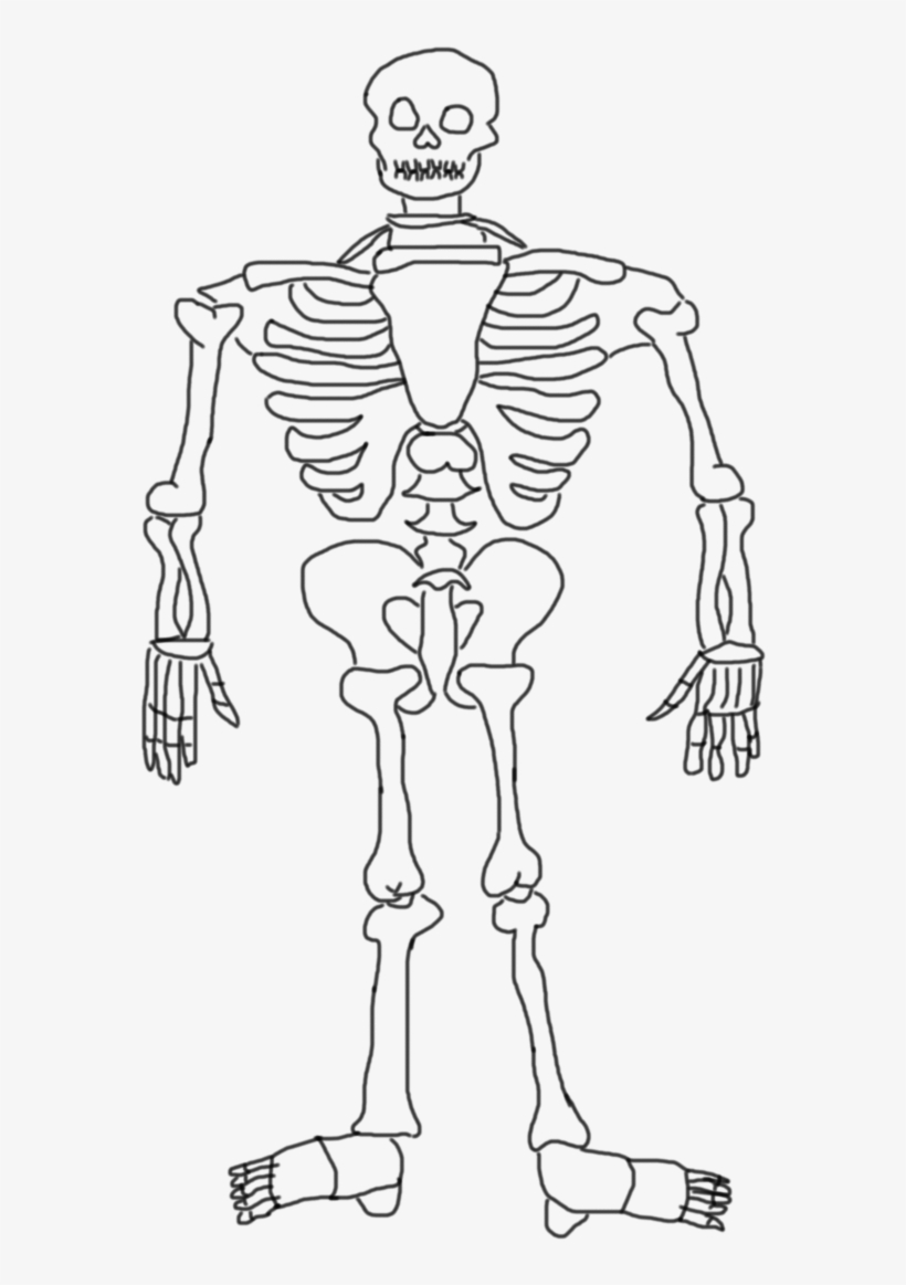 You Will Notice How The Ending Tag Has A Front Slash - Sketch, transparent png download