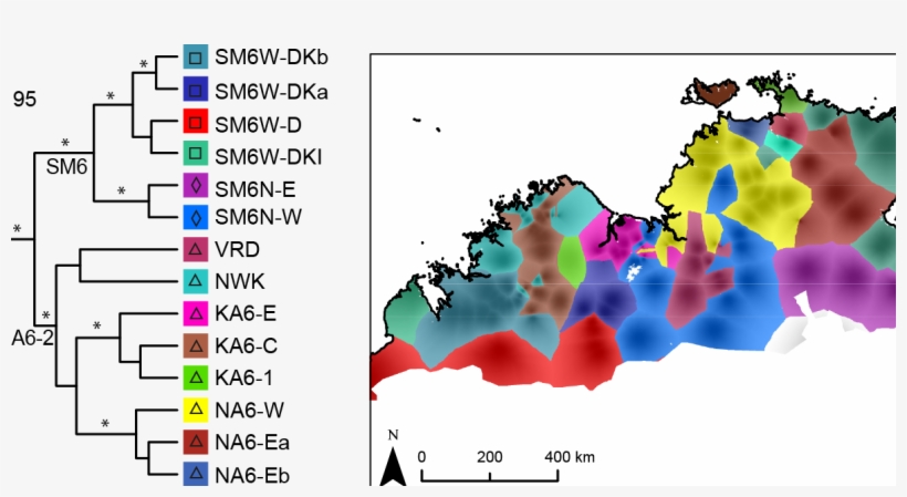 Dan Rosauer - Timor Sea Australia, transparent png download