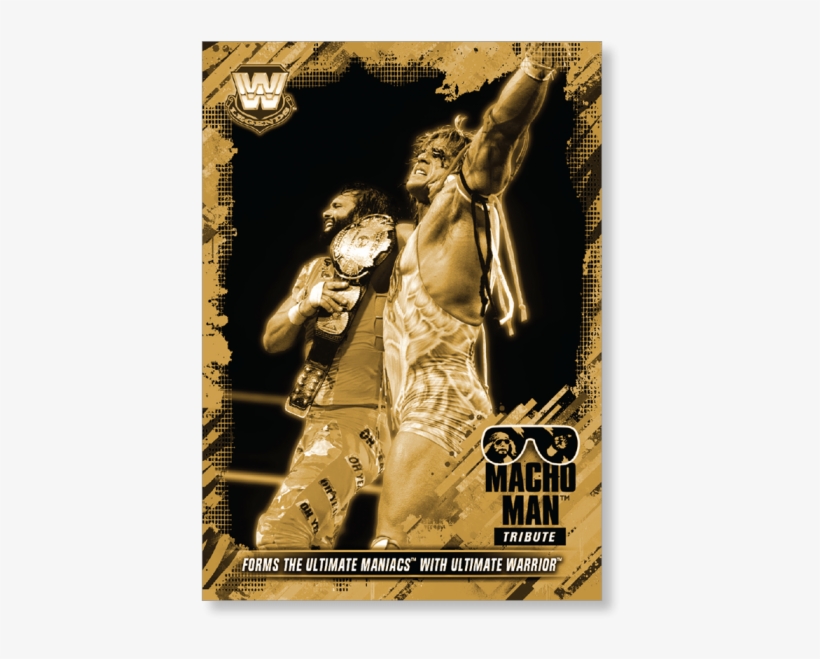 Gallery - Poster, transparent png download