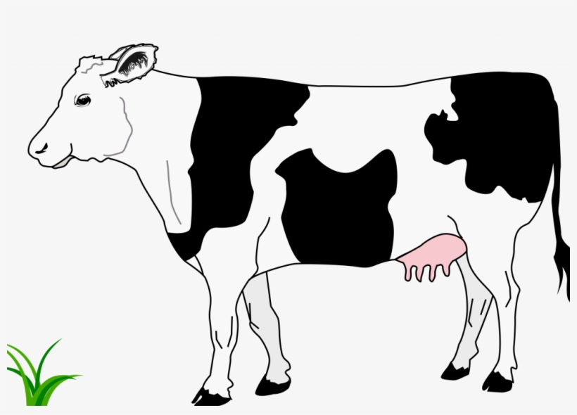 Banner Transparent Stock Top Of In Pictures - Black And White Image Of Cow, transparent png download