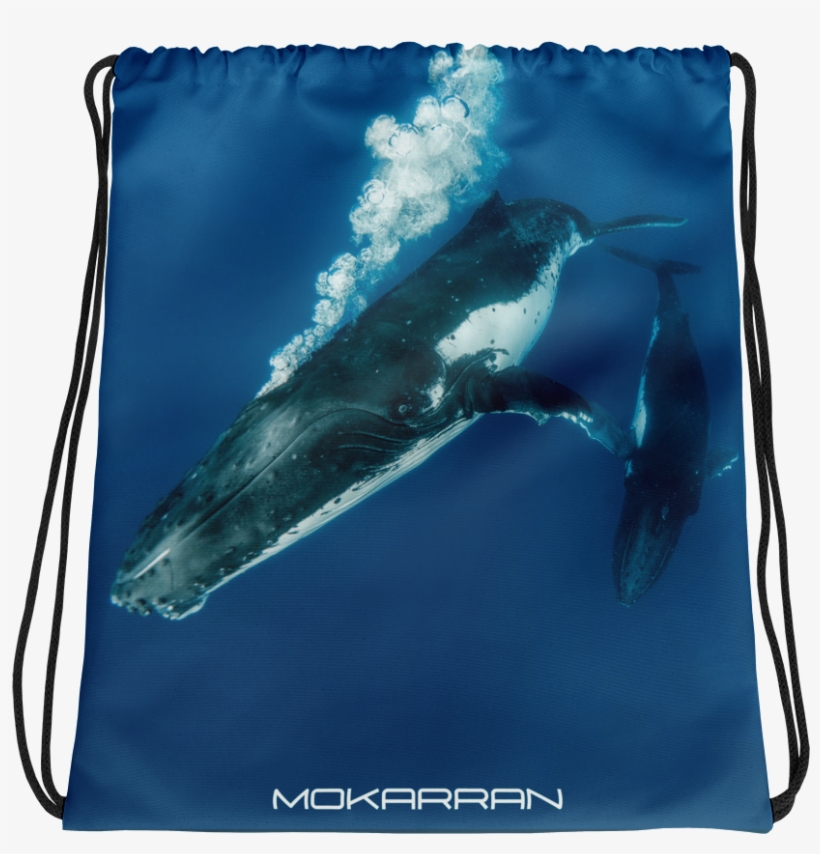 Drawstring PNG Image | Transparent PNG Free Download on SeekPNG