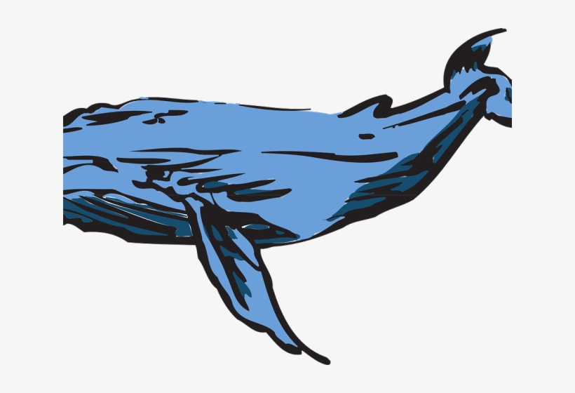 Humpback Whale Clipart Transparent - Whales, transparent png download