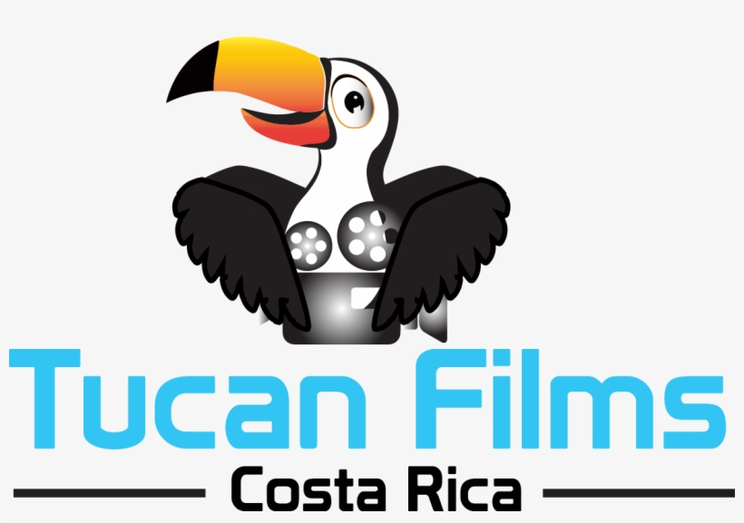 Hornbill, transparent png download