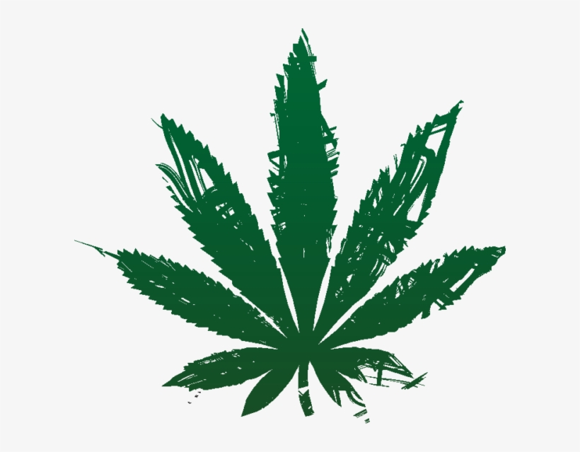 Leaf Scribble - Cannabis Symbol, transparent png download