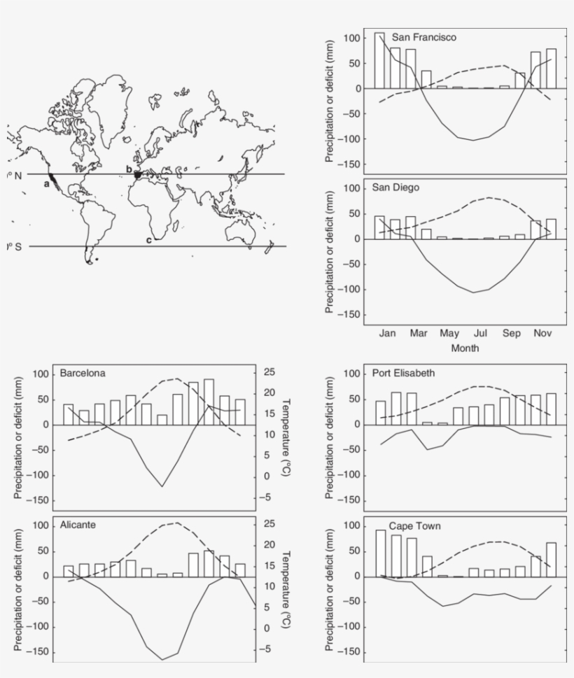 Climatic Characteristic Of The Three Mediterranean-type - Diagram, transparent png download