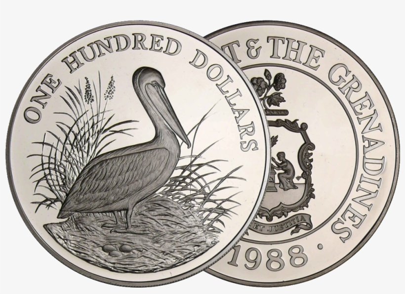 St Vincent And The Grenadines, 100 Dollars, Pelican, - Black Stork, transparent png download