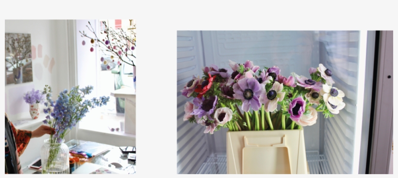 Interview With Thilde Kristensen, Flower Artist At - Poppy Kalas, transparent png download