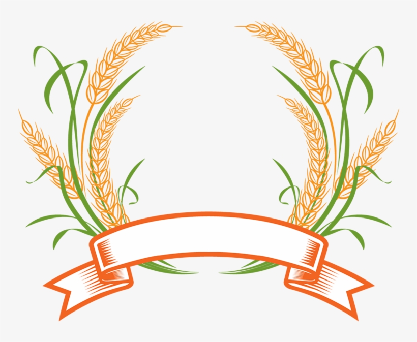 Logo Wheat Cereal Download Hd Png - Indian Pulses And Grains Association, transparent png download