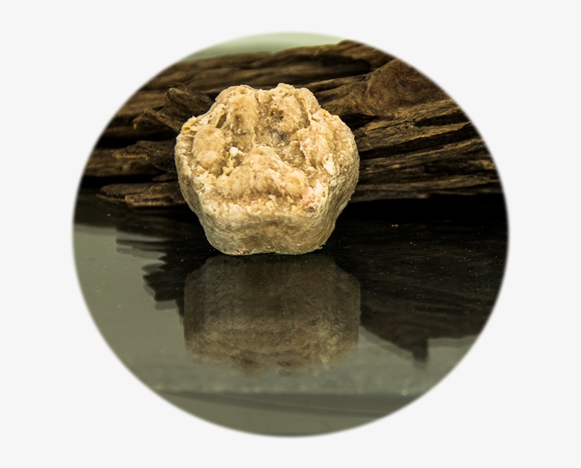 Cherimoya, transparent png download