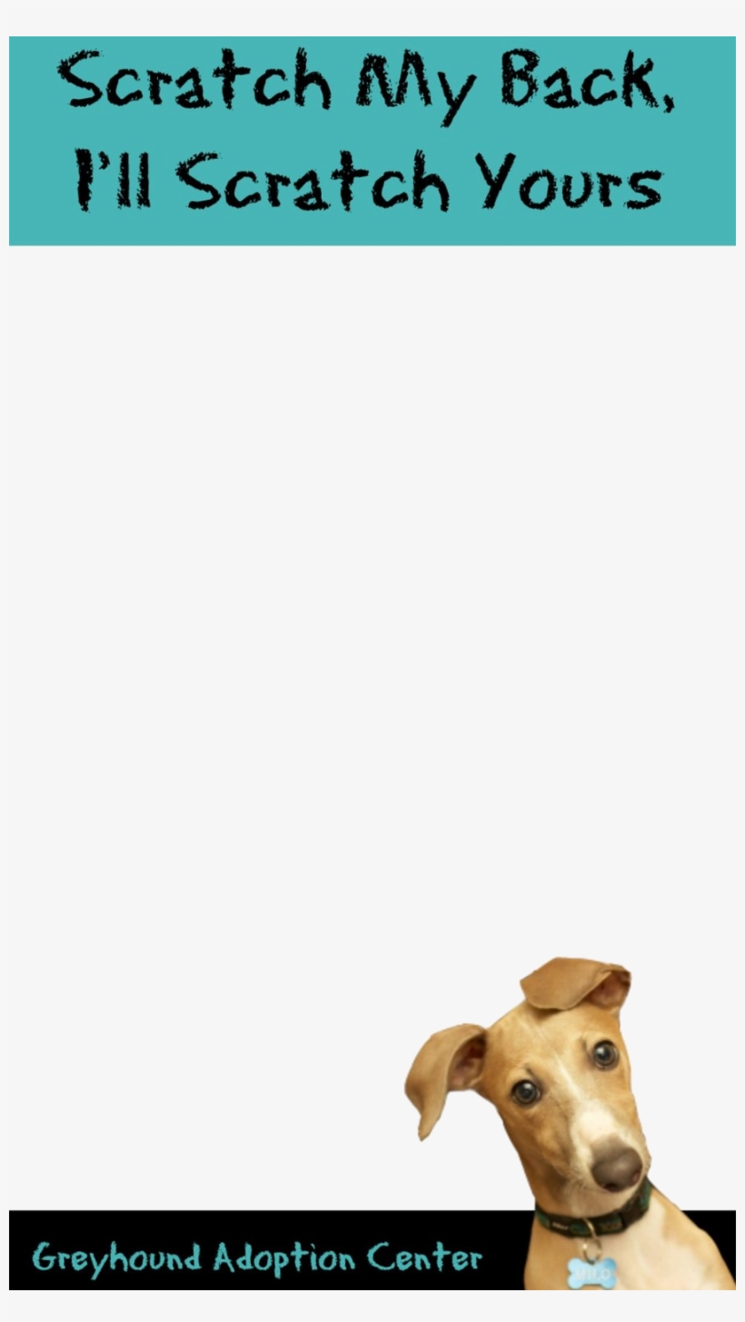 Snapchat Geofilter For Non Profit Greyhound Adoption - Companion Dog, transparent png download