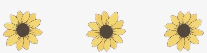 Girasol Drawflowers Tumblr Png Aesthetic Flowers Flores, transparent png download