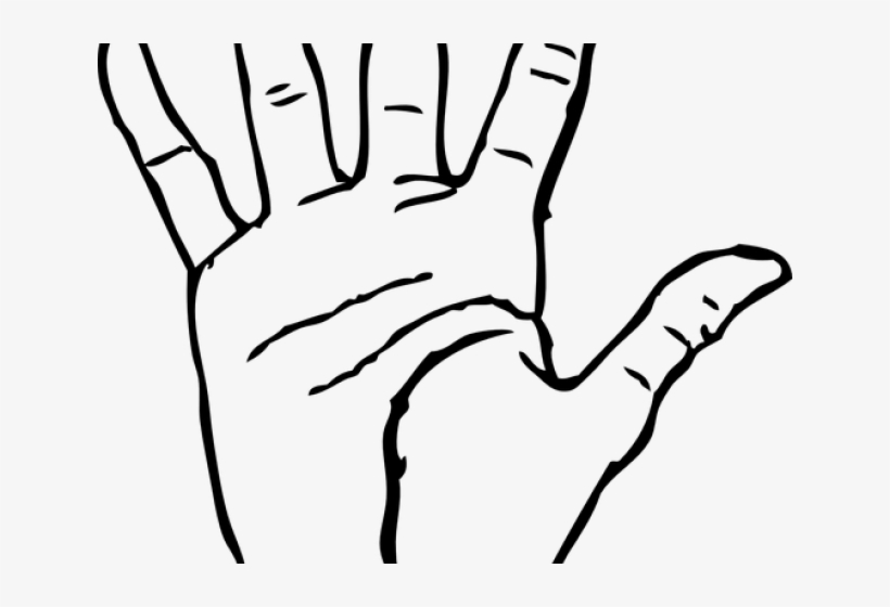 Unique Clipart Hand Palm - Coloring Picture Of Hand, transparent png download