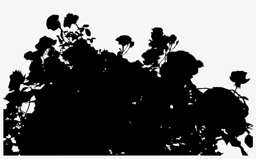 Download Png - Garden, transparent png download
