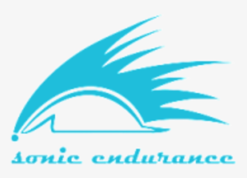 Sonic Endurance Lake Placid Camp - Graphic Design, transparent png download
