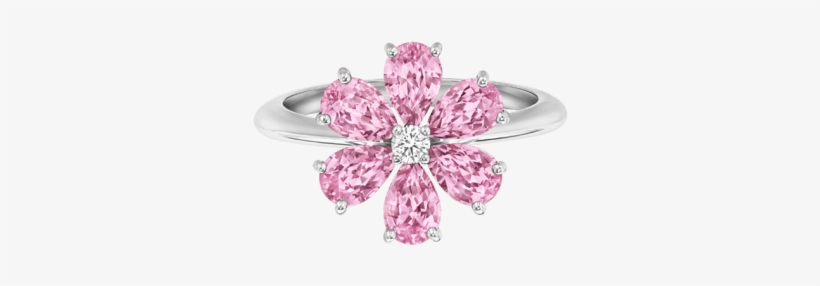 Main Navigation Section - Harry Winston Candy Rings, transparent png download