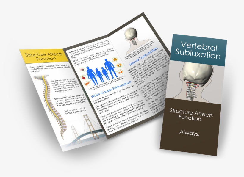 Most Comprehensive Subluxation Brochure - Creative Stress And Brochure, transparent png download