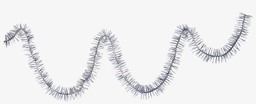 Decoration Centerblog Christmas Garland Day Free Photo - Garland, transparent png download