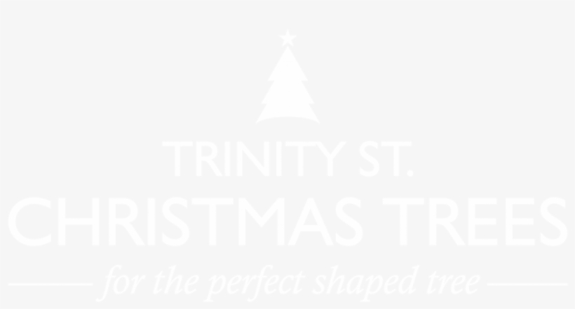 Trinity Street Christmas Tree Logo - Christmas Tree, transparent png download
