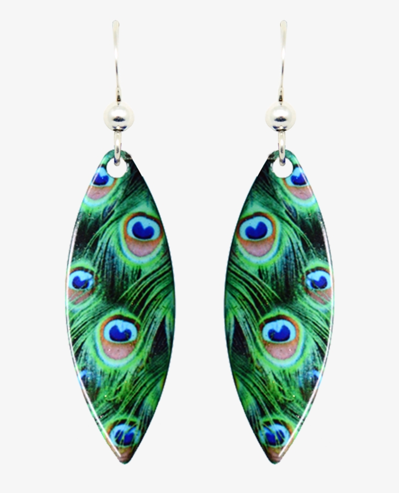 Peacock Feathers, transparent png download