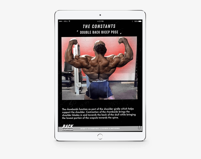 Back To The Drawing Board E-book - Bodybuilding, transparent png download