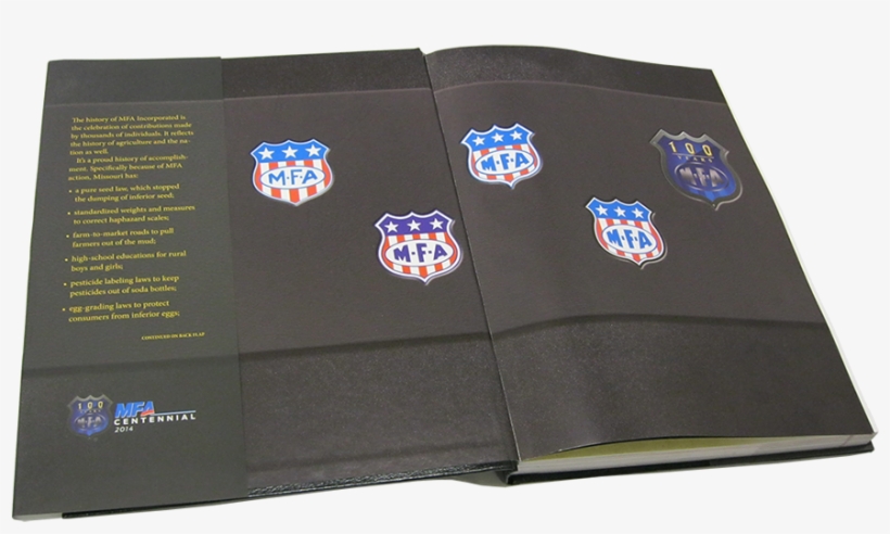 I Created A Custom Version Of The 100-year Shield With - Wallet, transparent png download