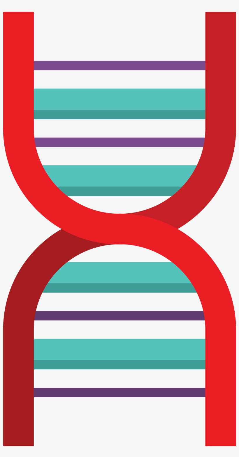 Dna Icon - Graphic Design, transparent png download