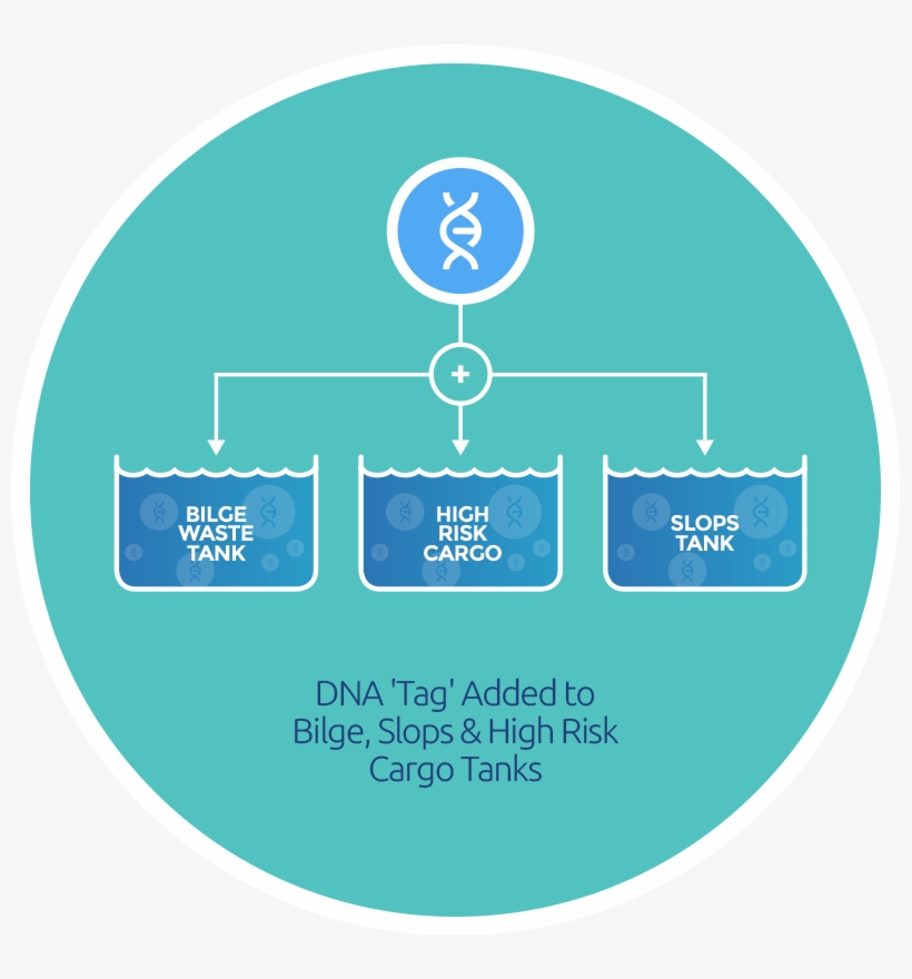 An Image Detailing How A Tracer Tracer Added To Bilge - Circle, transparent png download