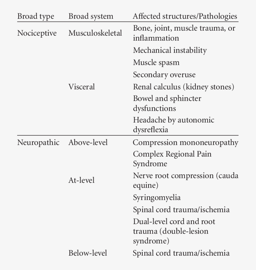 Classification Of The Spinal Cord Injury Pain Task - Spinal Cord Lesions Classification, transparent png download