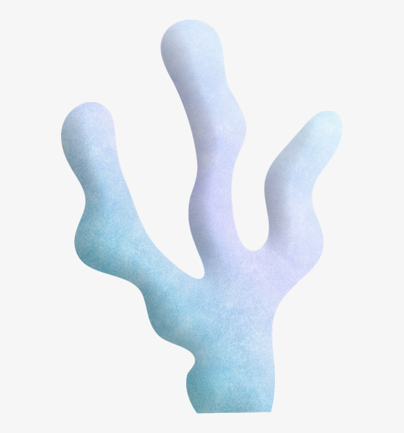 B *✿* Ocean Adventure - Corales De Mar Para Colorear, transparent png download