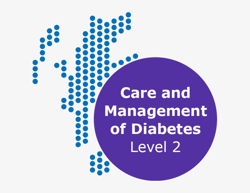Button Care And Management Of Diabetes Level 2 - Hanukkah, transparent png download