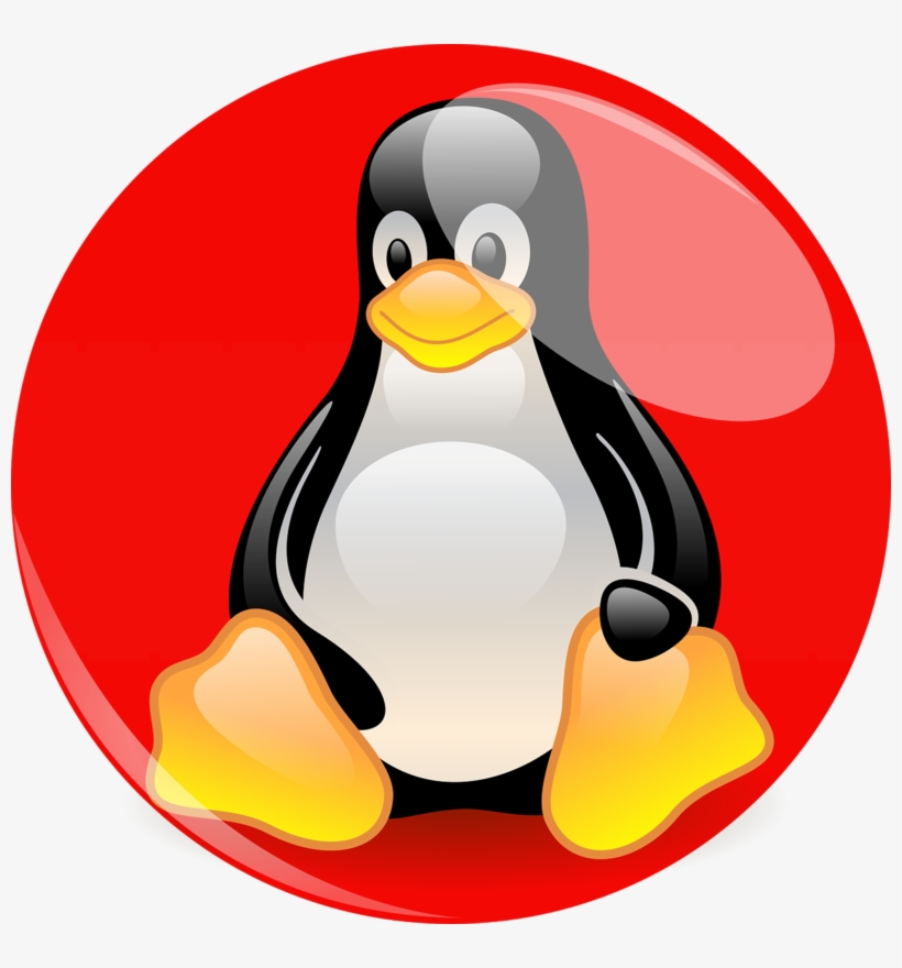 Tux Enterprise Linux Hat Red Penguin - Tux Red Hat, transparent png download
