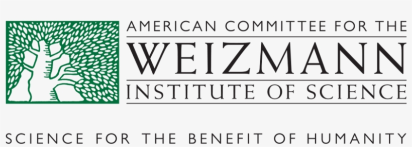 Wi Logo Rev - Calligraphy, transparent png download