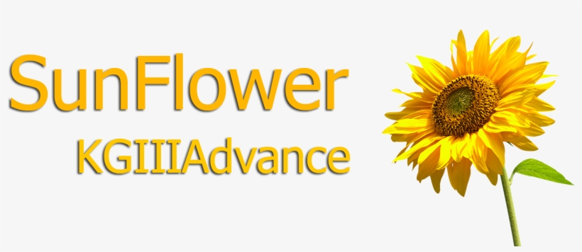 Welcome In Sun Flower Class - Sun Flowers Png, transparent png download