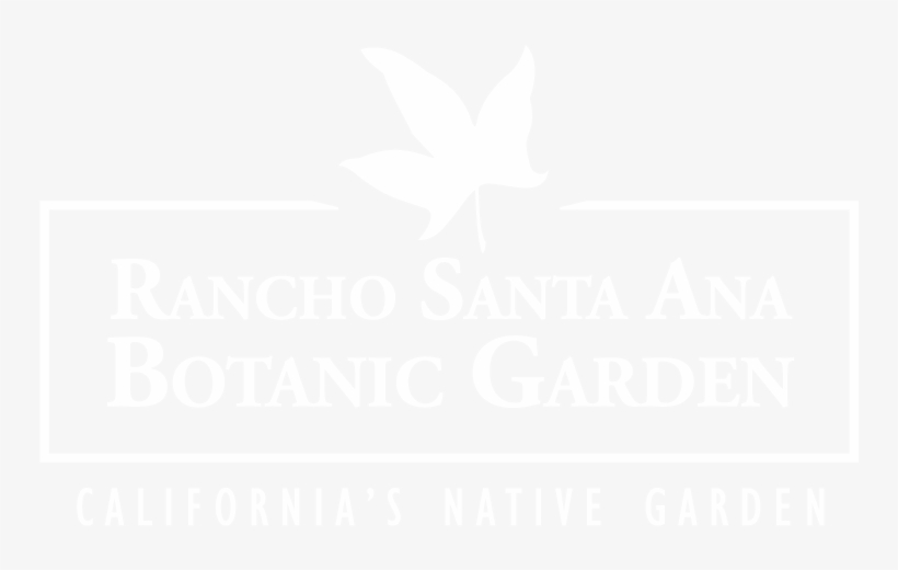 Contact - Graphic Design, transparent png download