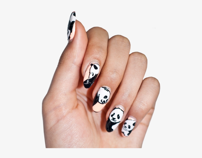 Real Nail Polish Nail Wraps - Nail Polish, transparent png download