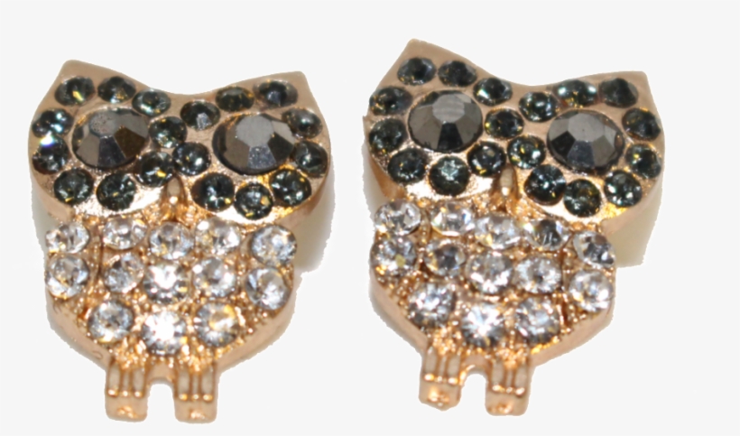 Owl Earrings - Earrings, transparent png download